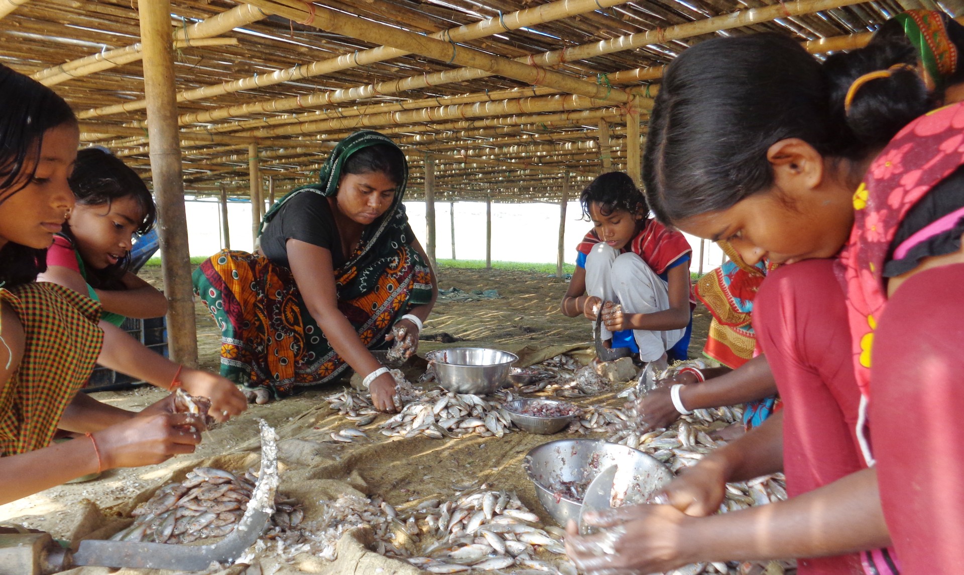 thumbnail_Habiganj-1018109