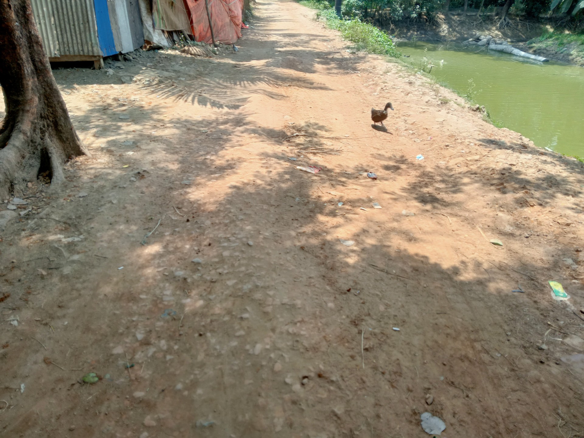 thumbnail_IMG20250413115430