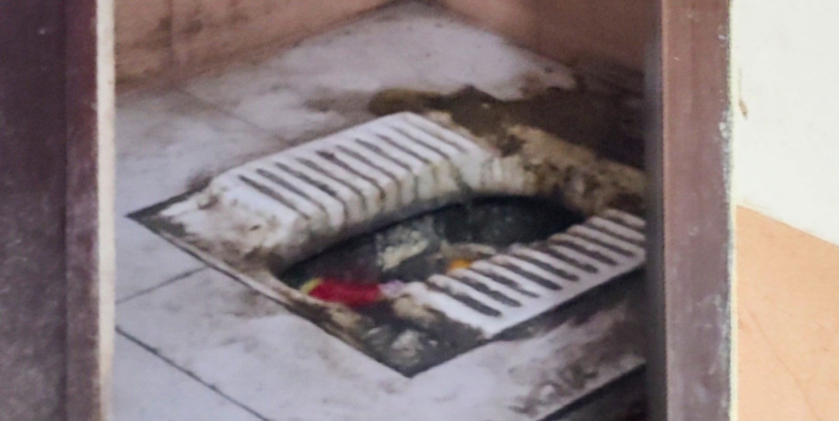 thumbnail_IMG20250417124825_01