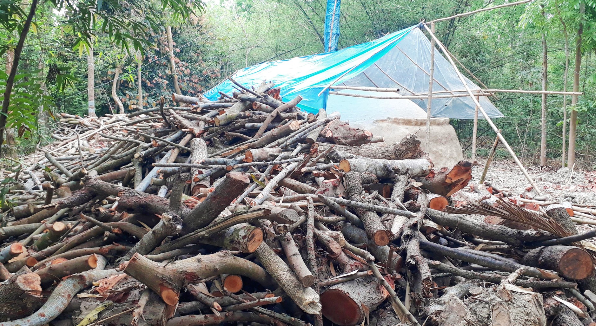 thumbnail_IMG_20250409_144218