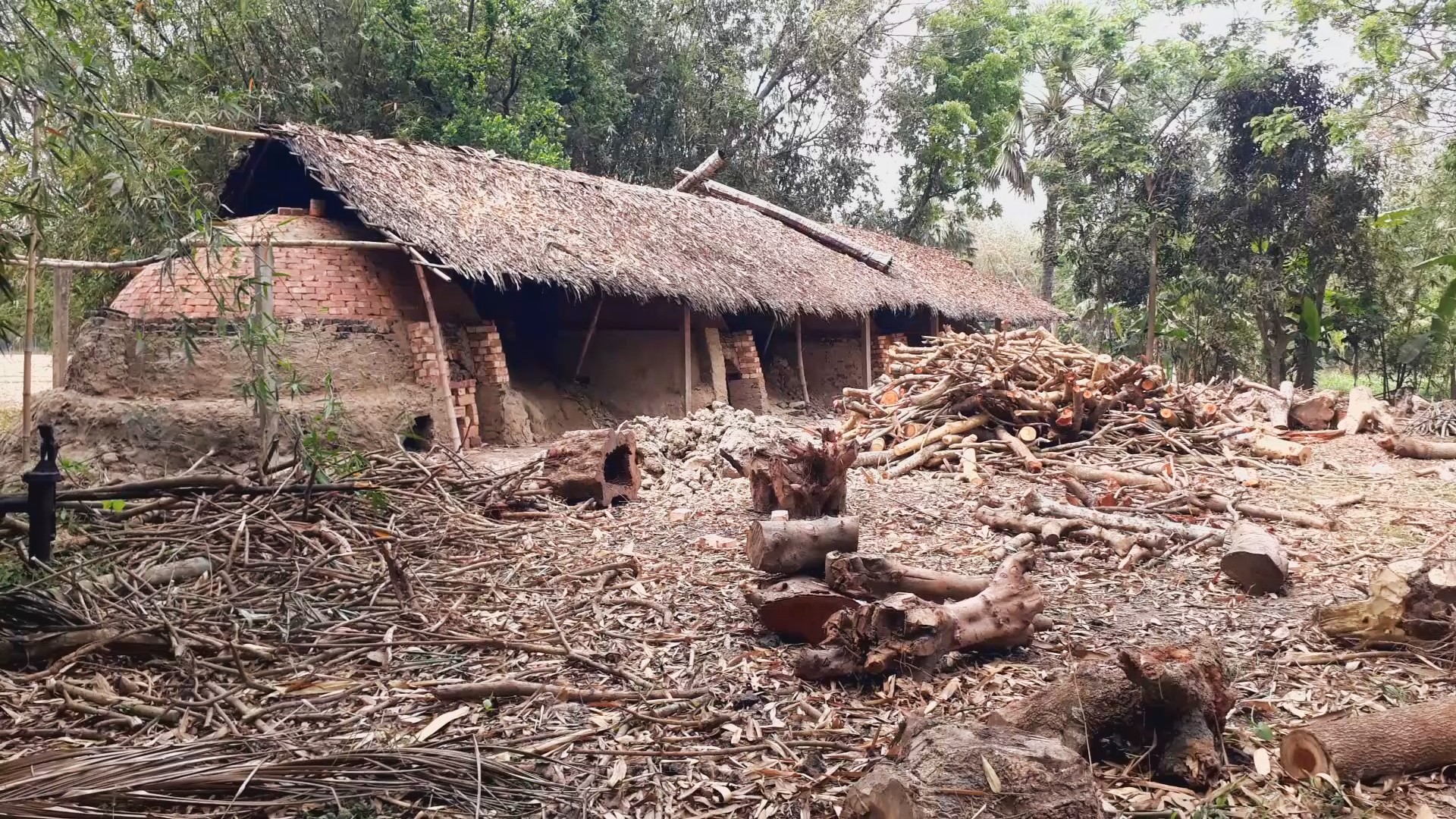 thumbnail_IMG_20250409_144311