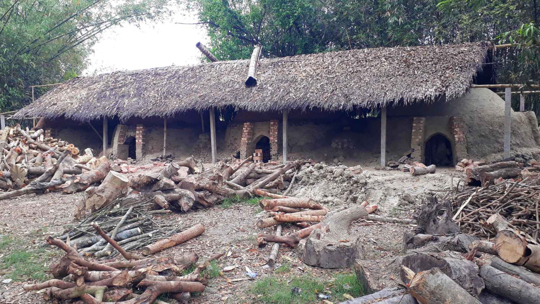 নড়াইলে কাঠ পুড়িয়ে তৈরি হচ্ছে কয়লা, হুমকিতে পরিবেশ