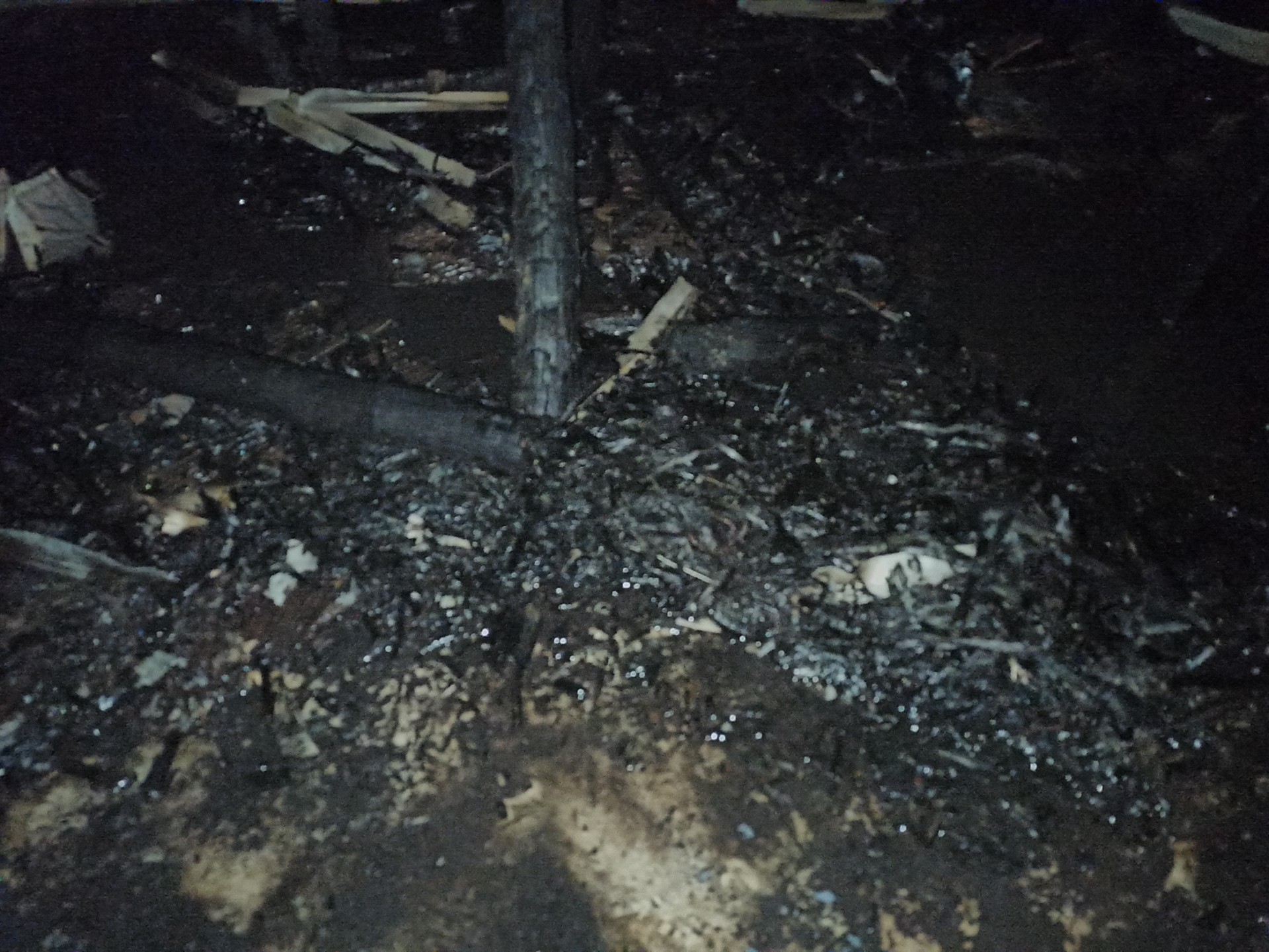 thumbnail_IMG_20250410_232957