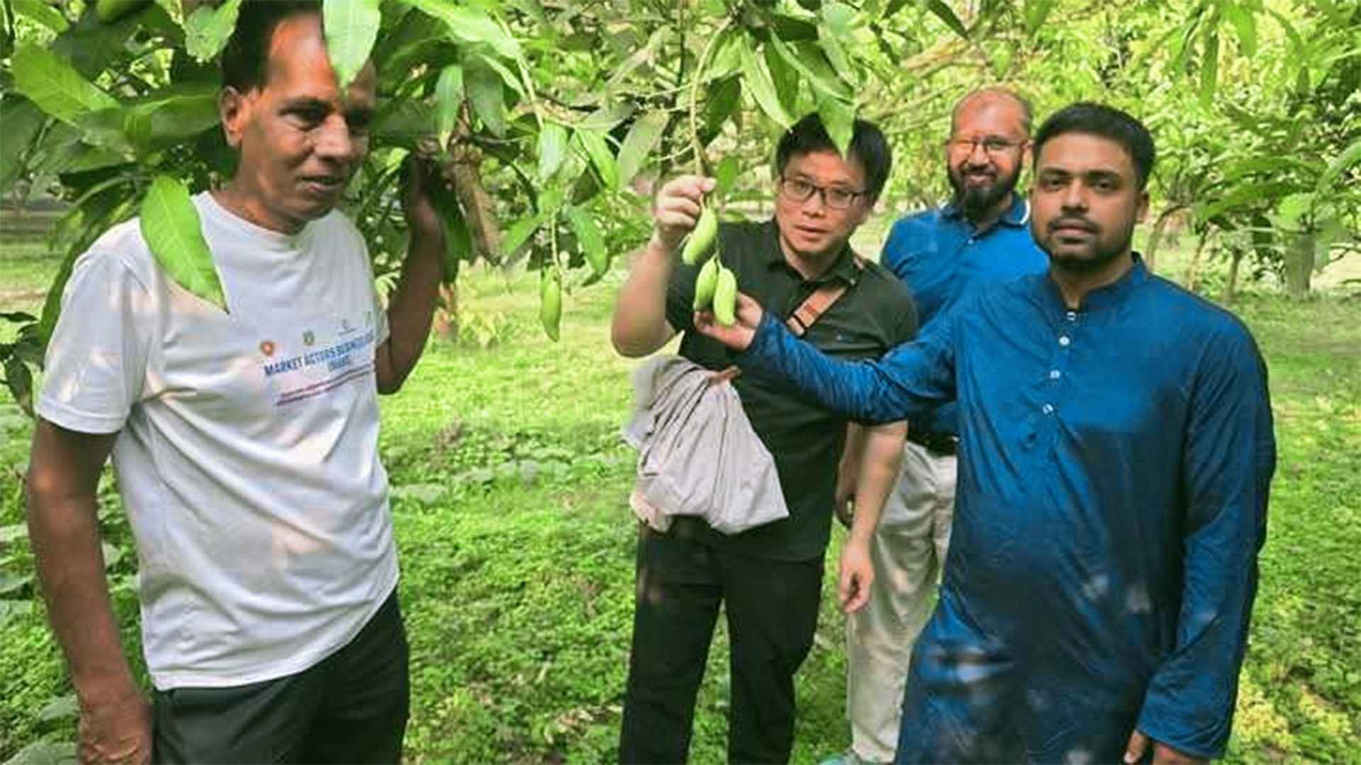 চাঁপাইনবাবগঞ্জ থেকে ১ লাখ ২০ হাজার টন আম কিনতে চায় চীন