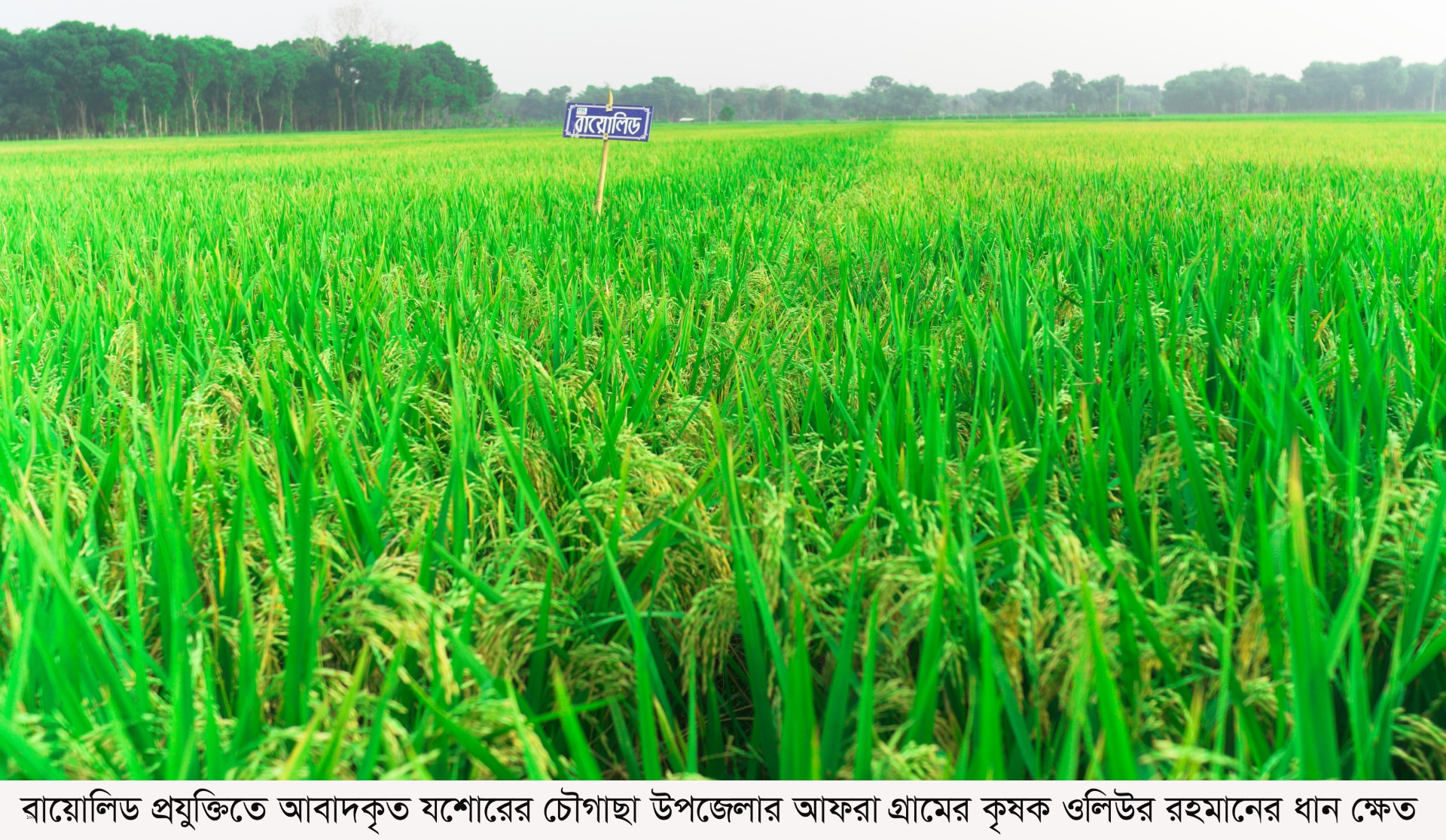 thumbnail_JSR_Biolid_Pic_30.04.2025.2