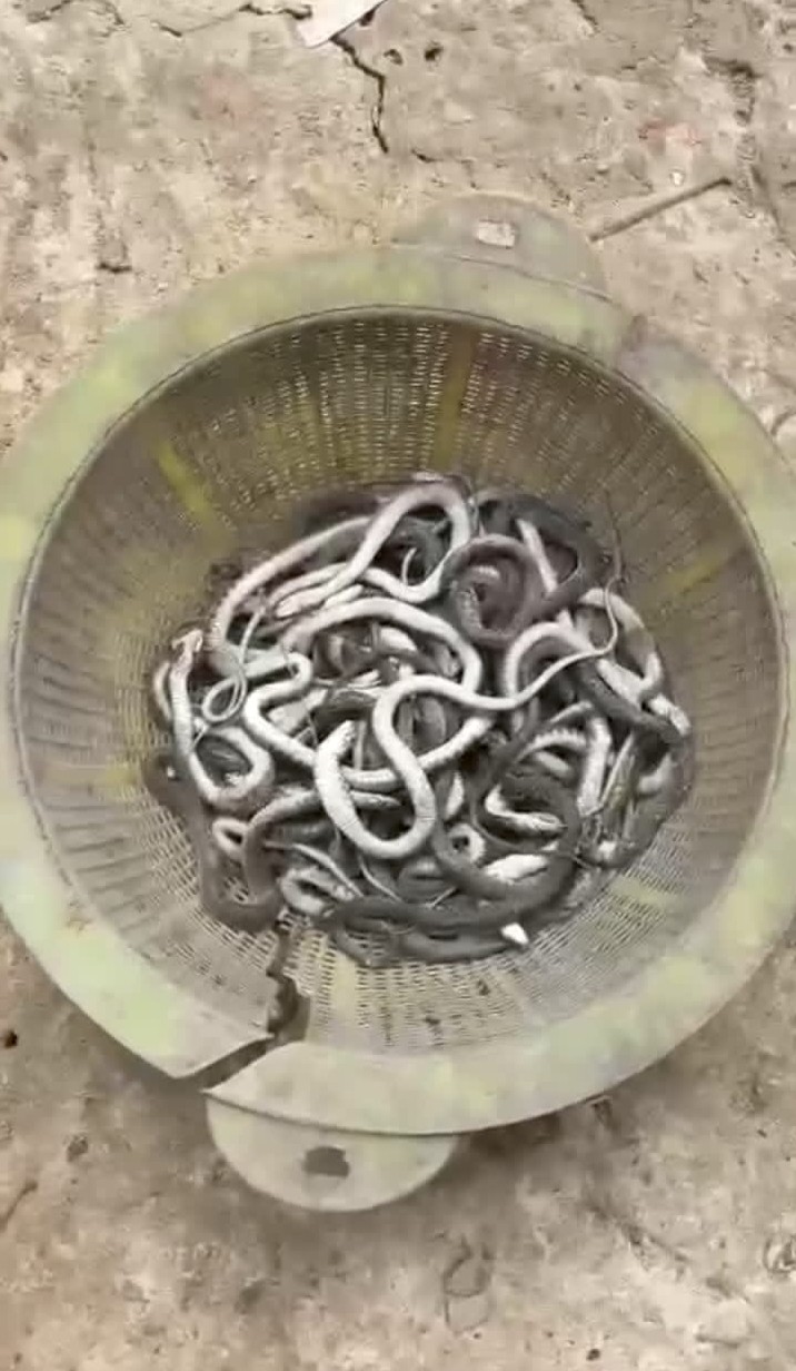 thumbnail_Mirsarai_Snak_Phoot_(1)