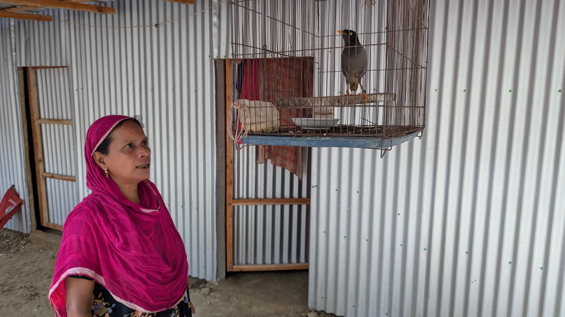 thumbnail_PXL_20250425_112849590