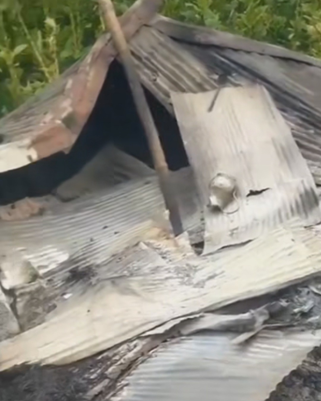 thumbnail_Screenshot_20250417_170617_Facebook