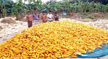 vutta-e1483896588482 vutta-e1483896588482