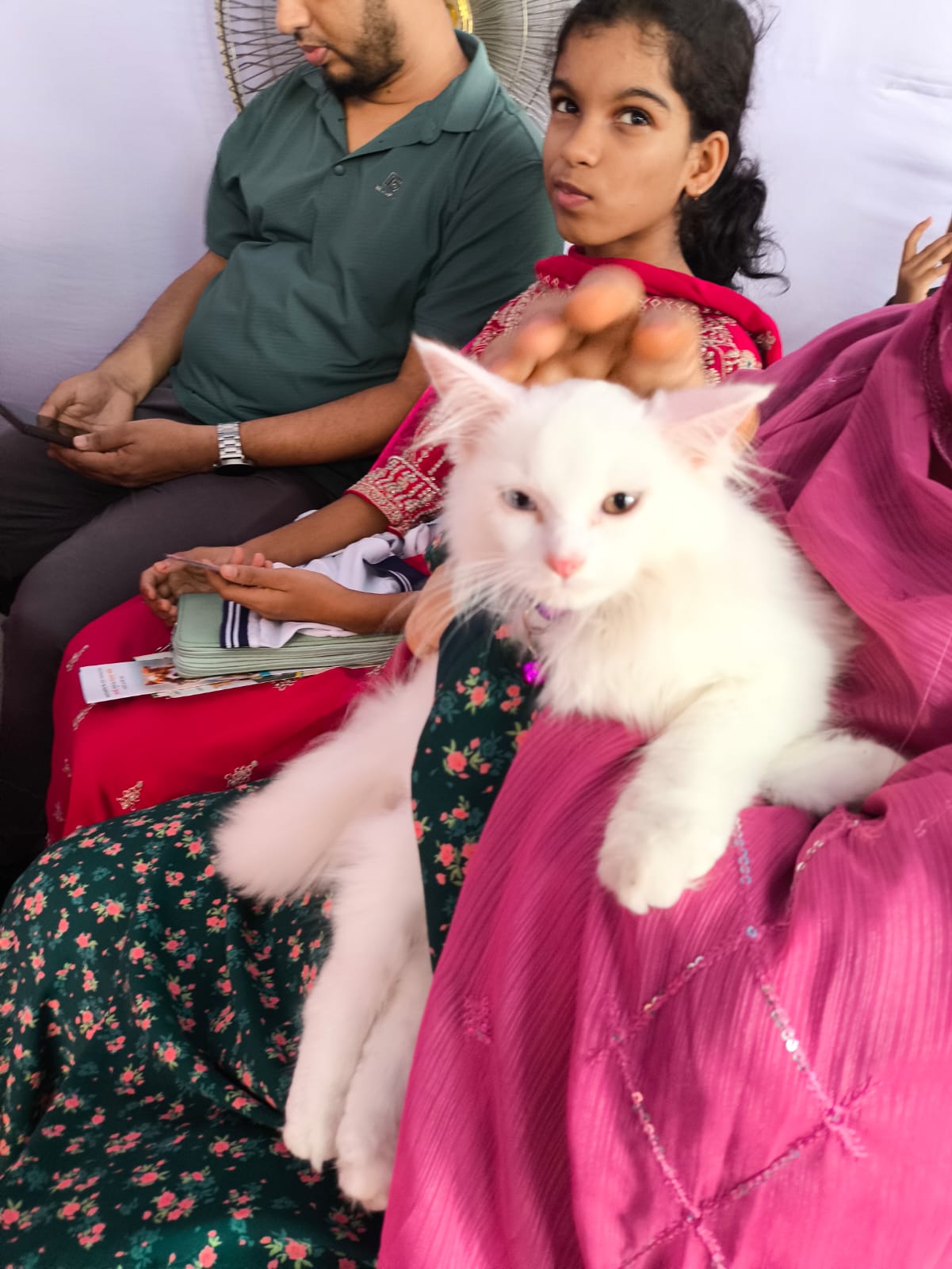 1000189339 1000189339