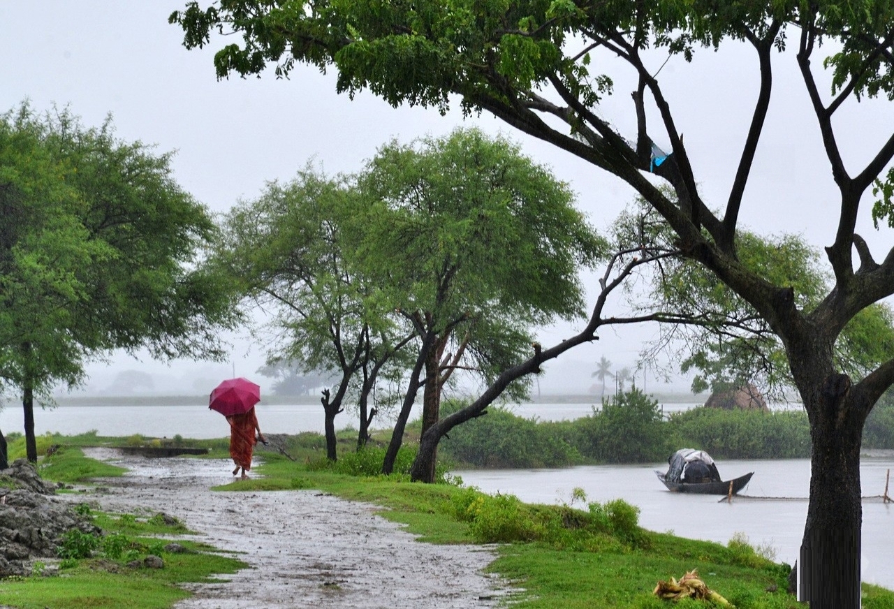 24555-transformed 24555-transformed