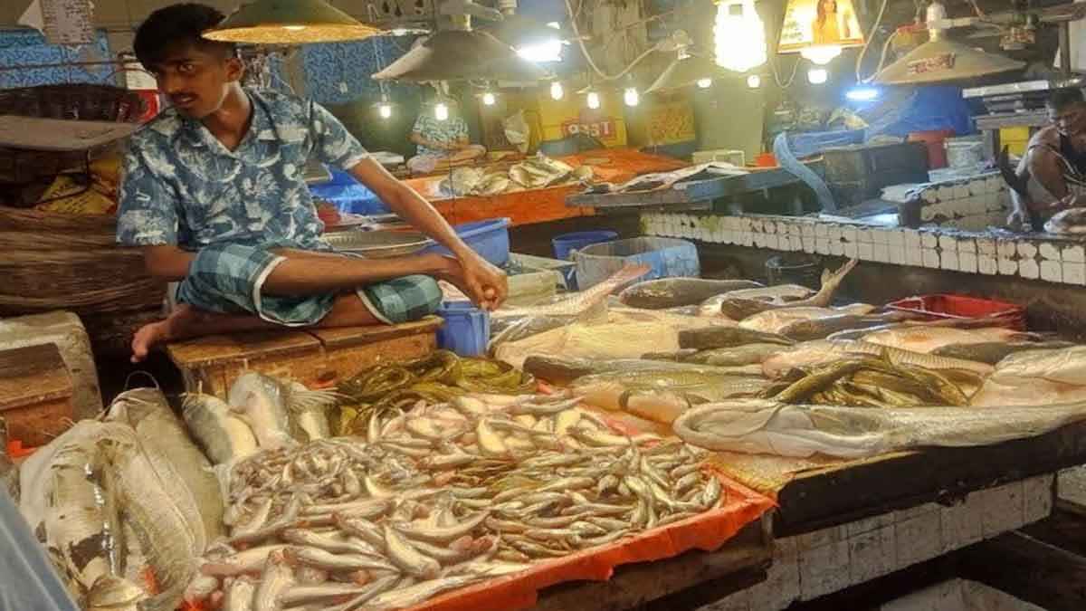 স্বস্তি মিলছে না মাছ বাজারে, ক্রেতাদের ক্ষোভ