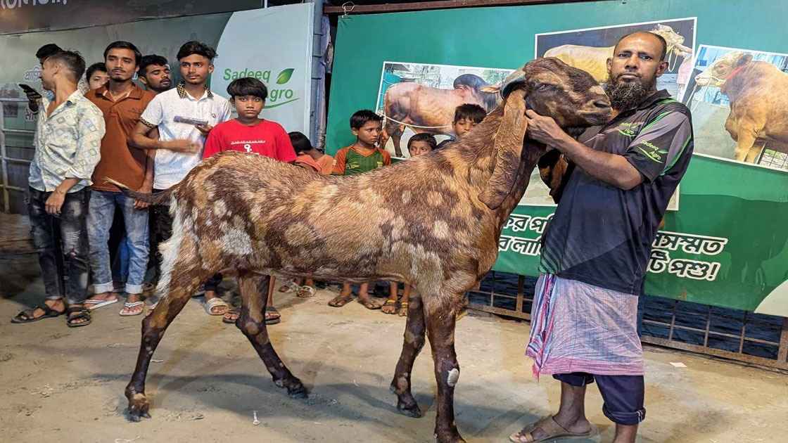ছাগল পালনে ১০ লাখ টাকা পর্যন্ত ঋণের সুযোগ