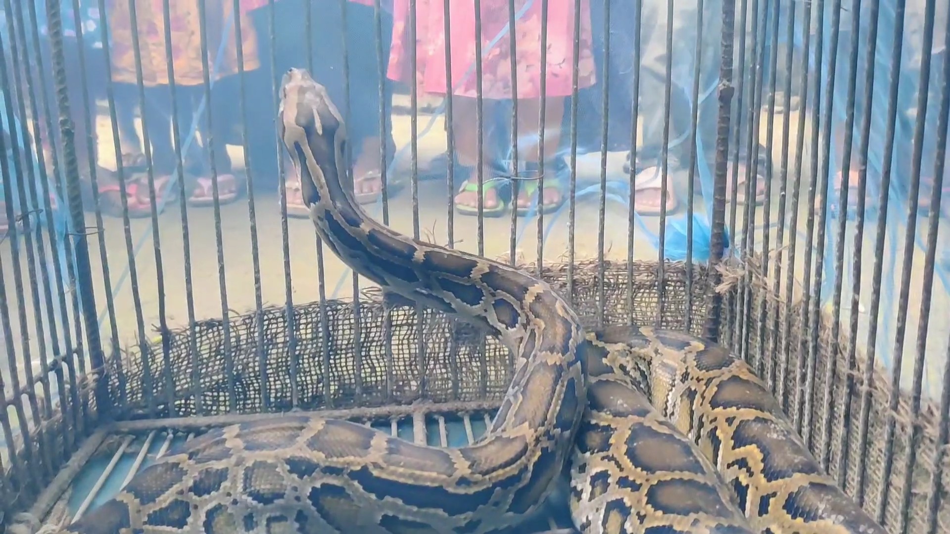 InShot_20250828_184650756_exported_33266 InShot_20250828_184650756_exported_33266