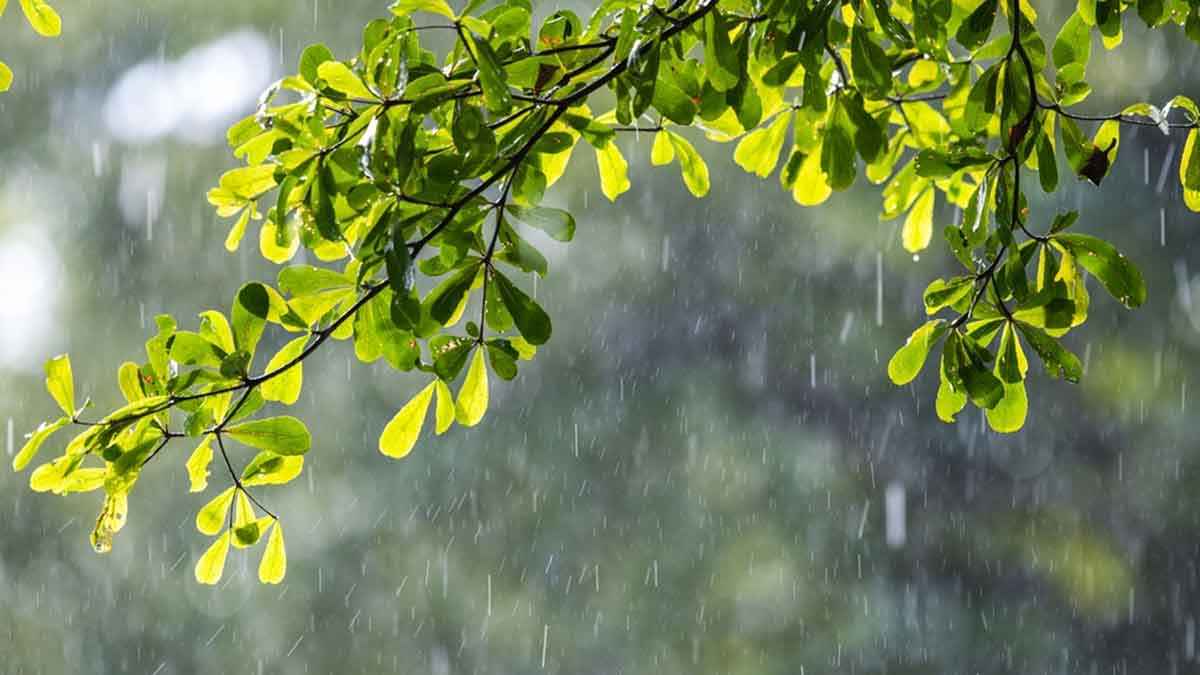 তিন বিভাগে ভারী বৃষ্টির আভাস