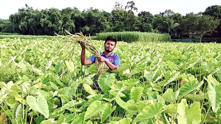 মুকুলের খেতে সাফল্যের সুবাস