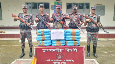 সীমান্তে ২৮ কেজি ভারতীয় গাঁজা জব্দ