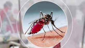 ফেনীতে ২৪ ঘণ্টায় আরও ৬ জনের ডেঙ্গু শনাক্ত