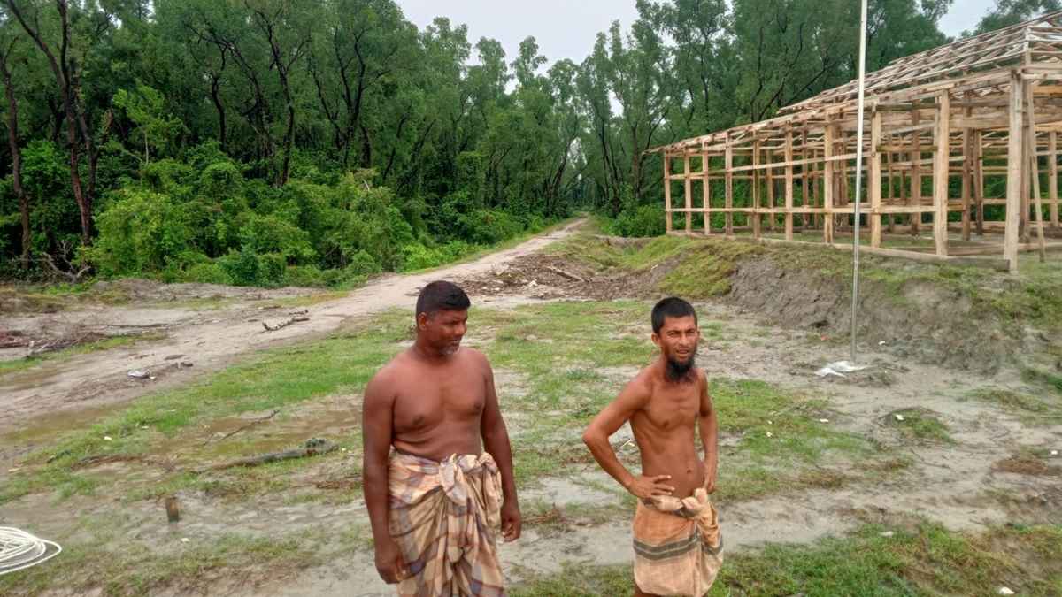 হাতিয়ায় বন কেটে বসতি ও সড়ক নির্মাণ, নির্বিকার বনবিভাগ