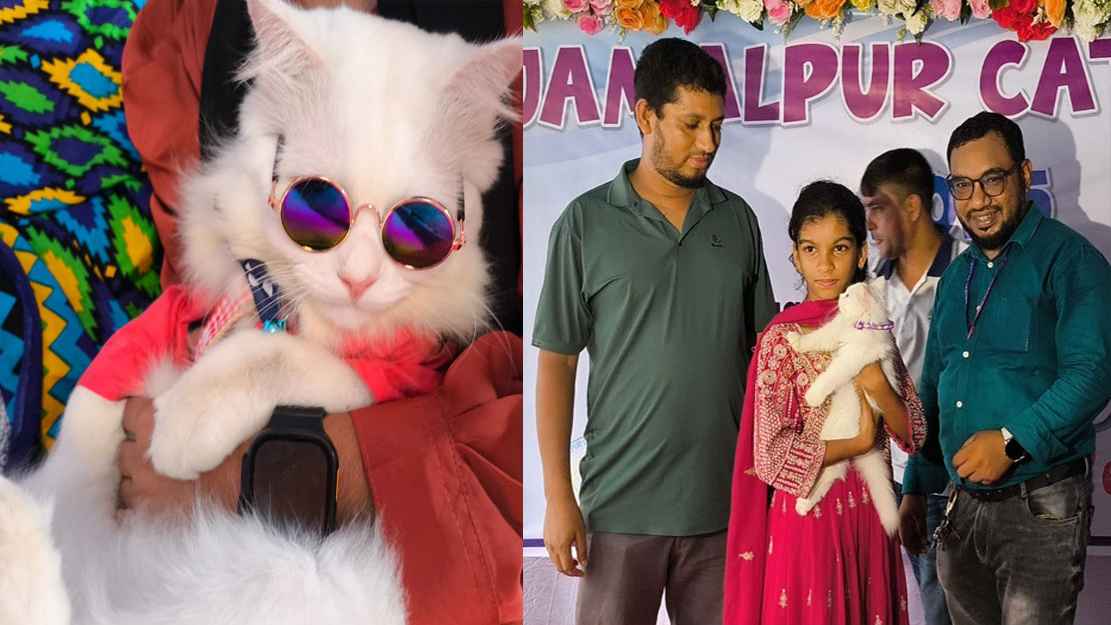 জামালপুরে ব্যতিক্রমী বিড়াল প্রদর্শনী