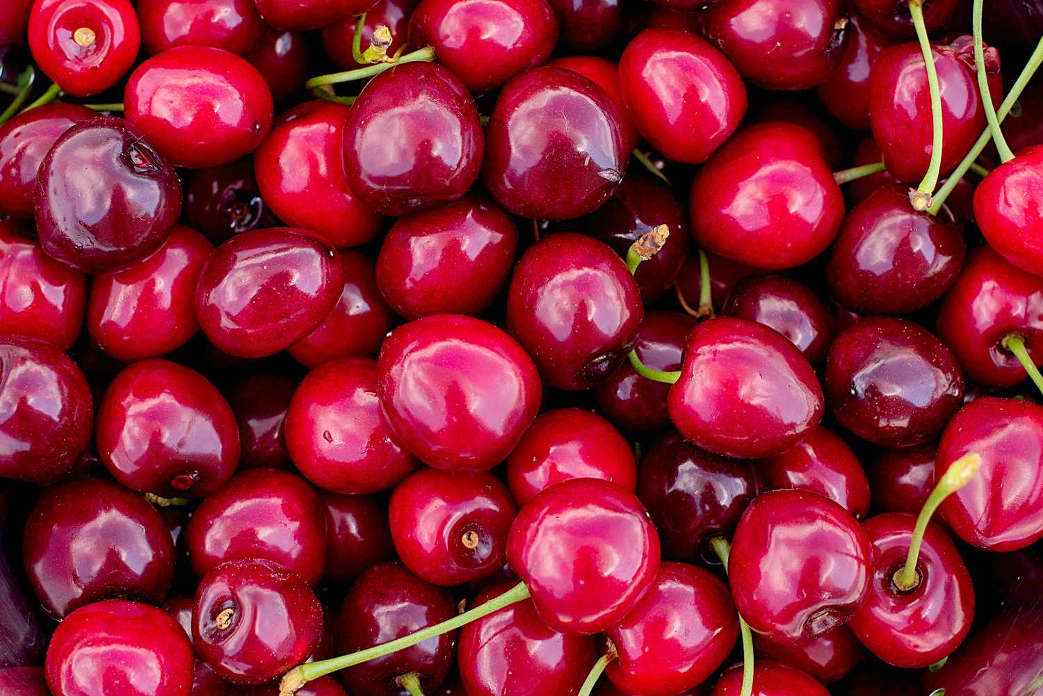 cherry cherry