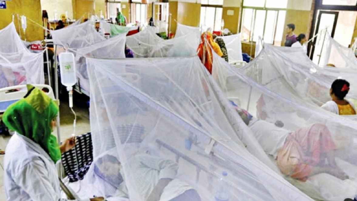 ডেঙ্গু আক্রান্ত হয়ে হাসপাতালে আরও ৩৪৩ জন