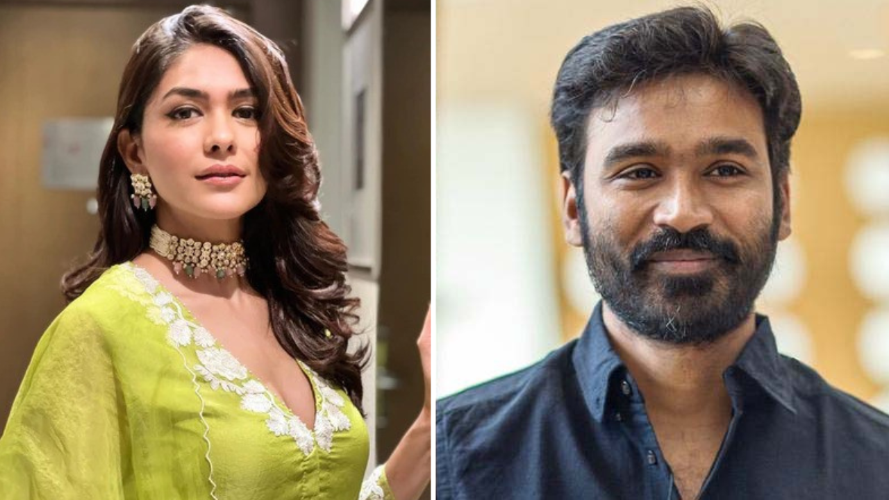 ধানুষ- ম্রুণালের প্রেমের গুঞ্জন, মুখ খুললেন অভিনেত্রী