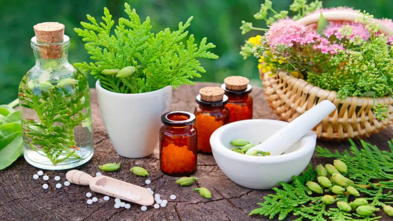 ভেষজ উদ্ভিদ