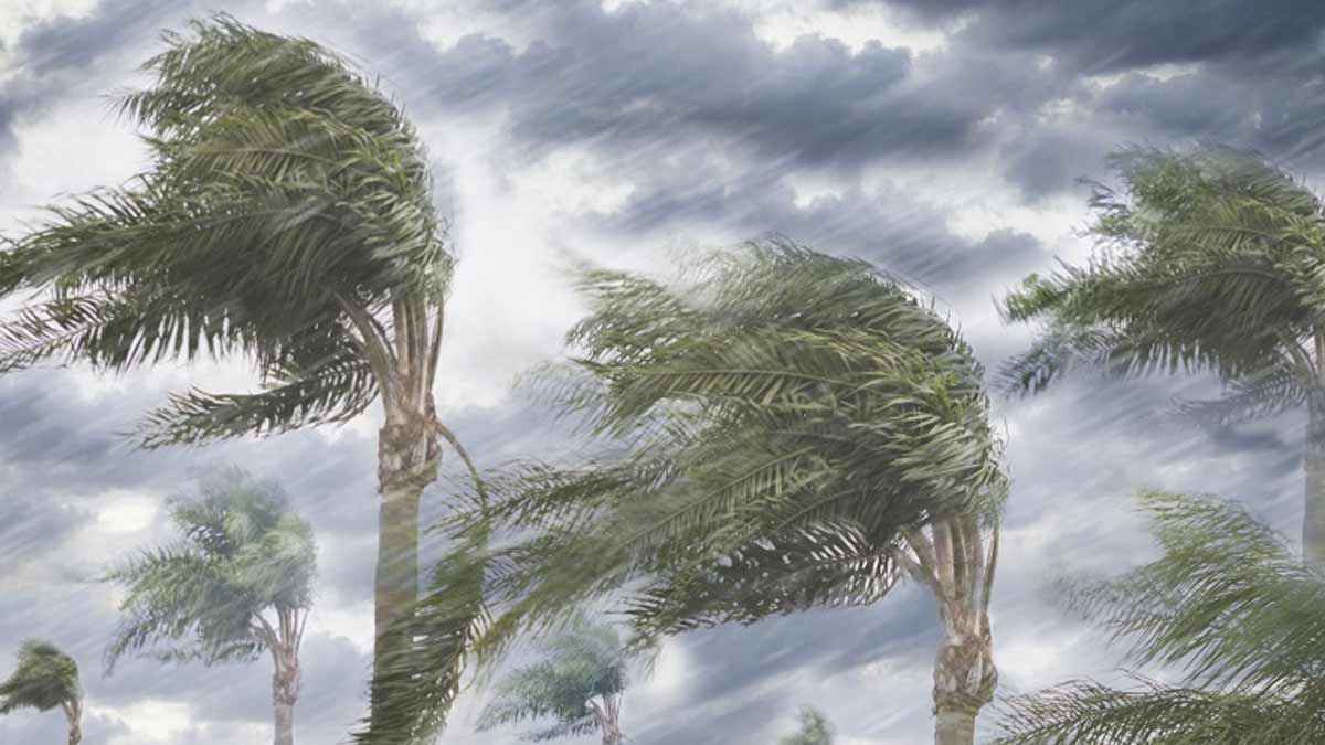 সকাল ৯টার মধ্যে ৬০ কিমি বেগে ঝড় ও বজ্রসহ বৃষ্টির আভাস