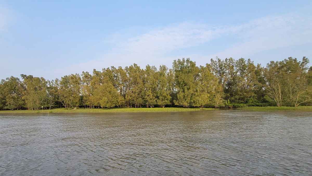 নিষেধাজ্ঞা শেষে খুলছে সুন্দরবনের দুয়ার, ব্যস্ত বনজীবীরা