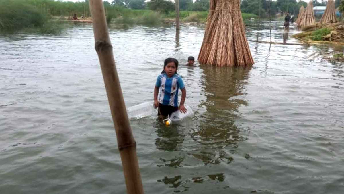 কুষ্টিয়ায় পদ্মার পানি বিপৎসীমার কাছাকাছি, নিম্নাঞ্চল প্লাবিত