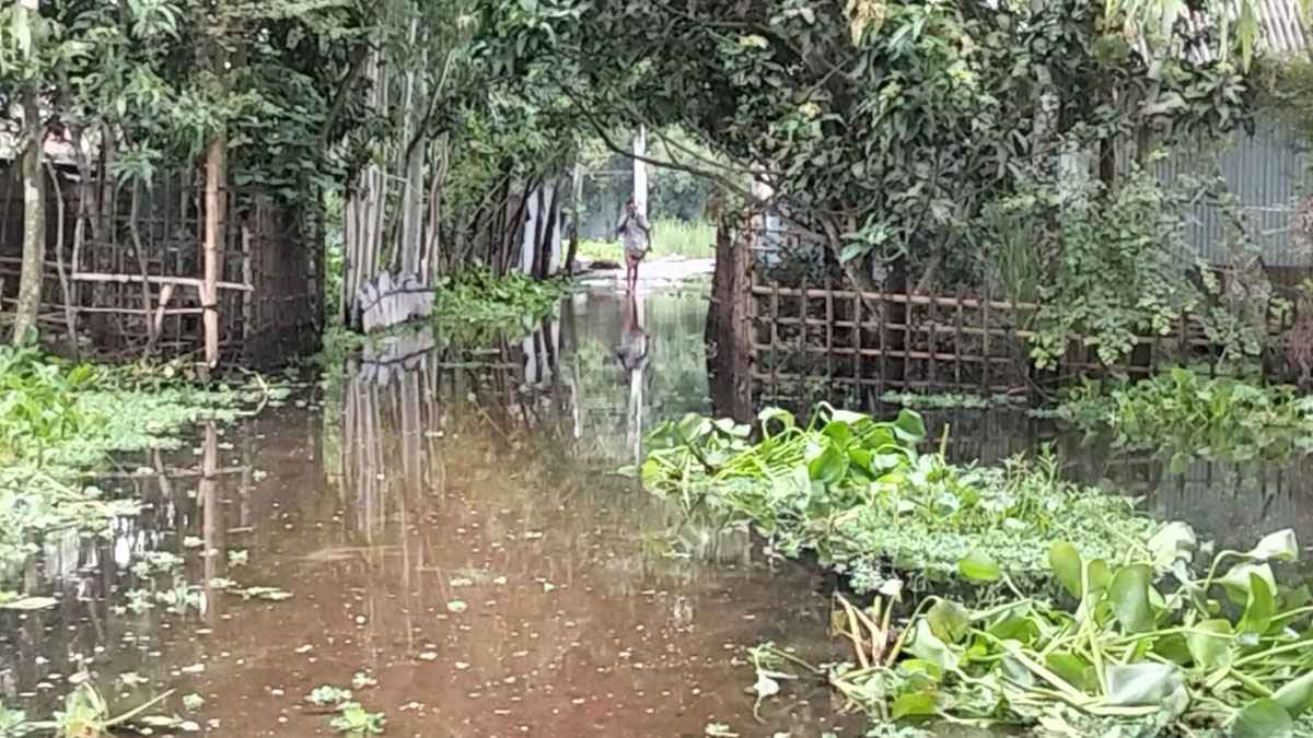 দিনে কমে রাতে বাড়ে পানি, বিপাকে তিস্তা পাড়ের মানুষ
