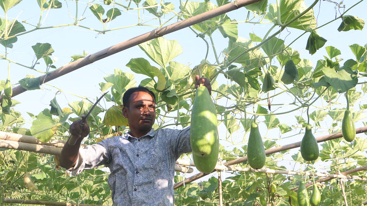লাভজনক কৃষি কোনটি ২০২৫