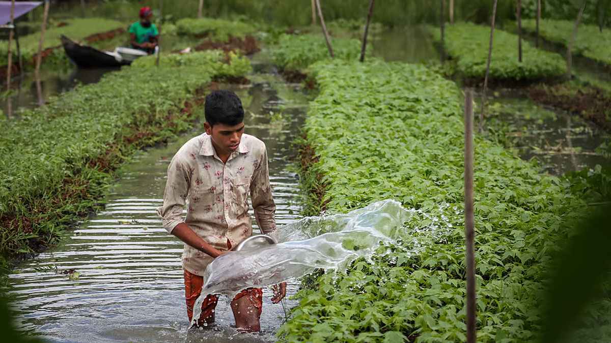 ভাদ্র মাসে কৃষকদের করণীয়