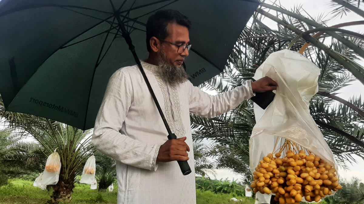 খাগড়াছড়িতে খেজুর চাষে সফল কৃষি উদ্যোক্তা নুর আলম