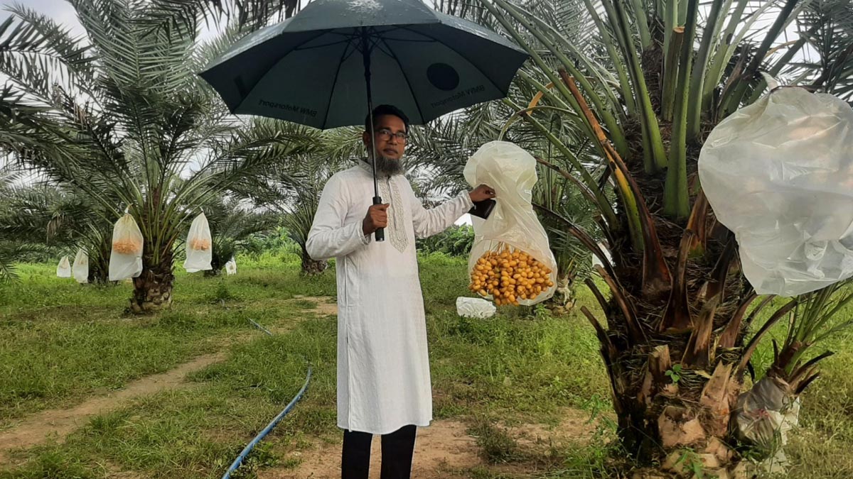 nur_alam_4 nur_alam_4