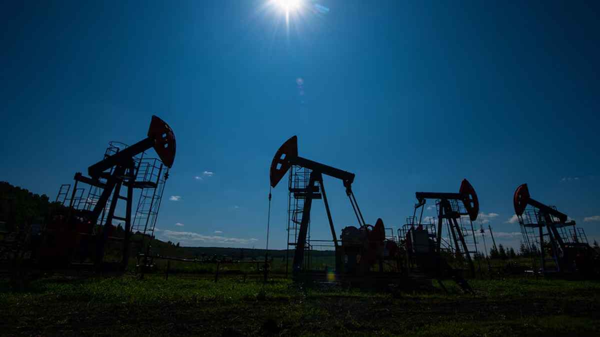 ট্রাম্পের হুমকি সত্ত্বেও রাশিয়ার তেল কিনবে ভারত!