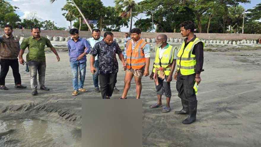 কুয়াকাটা সৈকতে ফের ভেসে এল মৃত ডলফিন