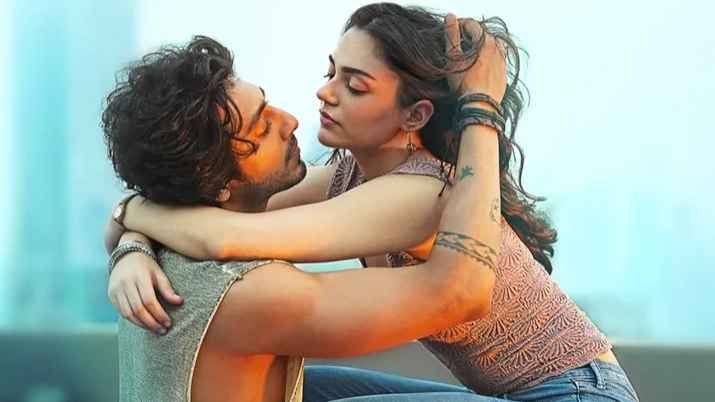 জানা গেল ‘সাইয়ারা’র অনীত পাড্ডার পরবর্তী সিরিজের নাম