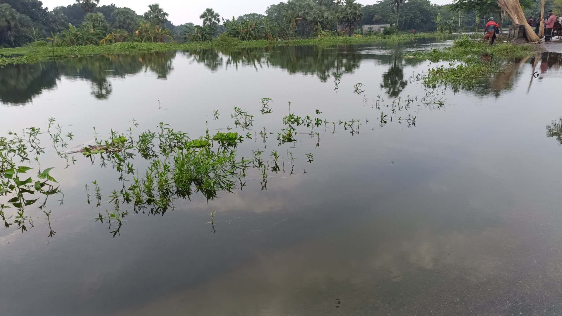 thumbnail_IMG20250811161509