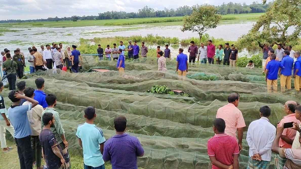 পোনা রক্ষায় ৪ লাখ টাকার অবৈধ জাল জব্দ ও ধ্বংস