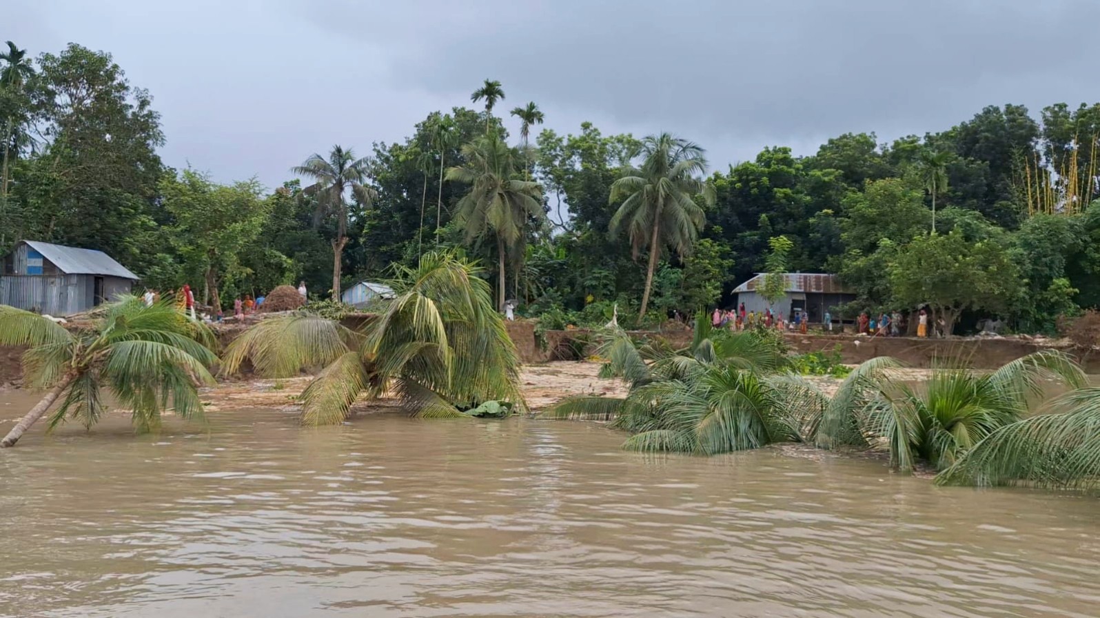 thumbnail_IMG_20250828_094429