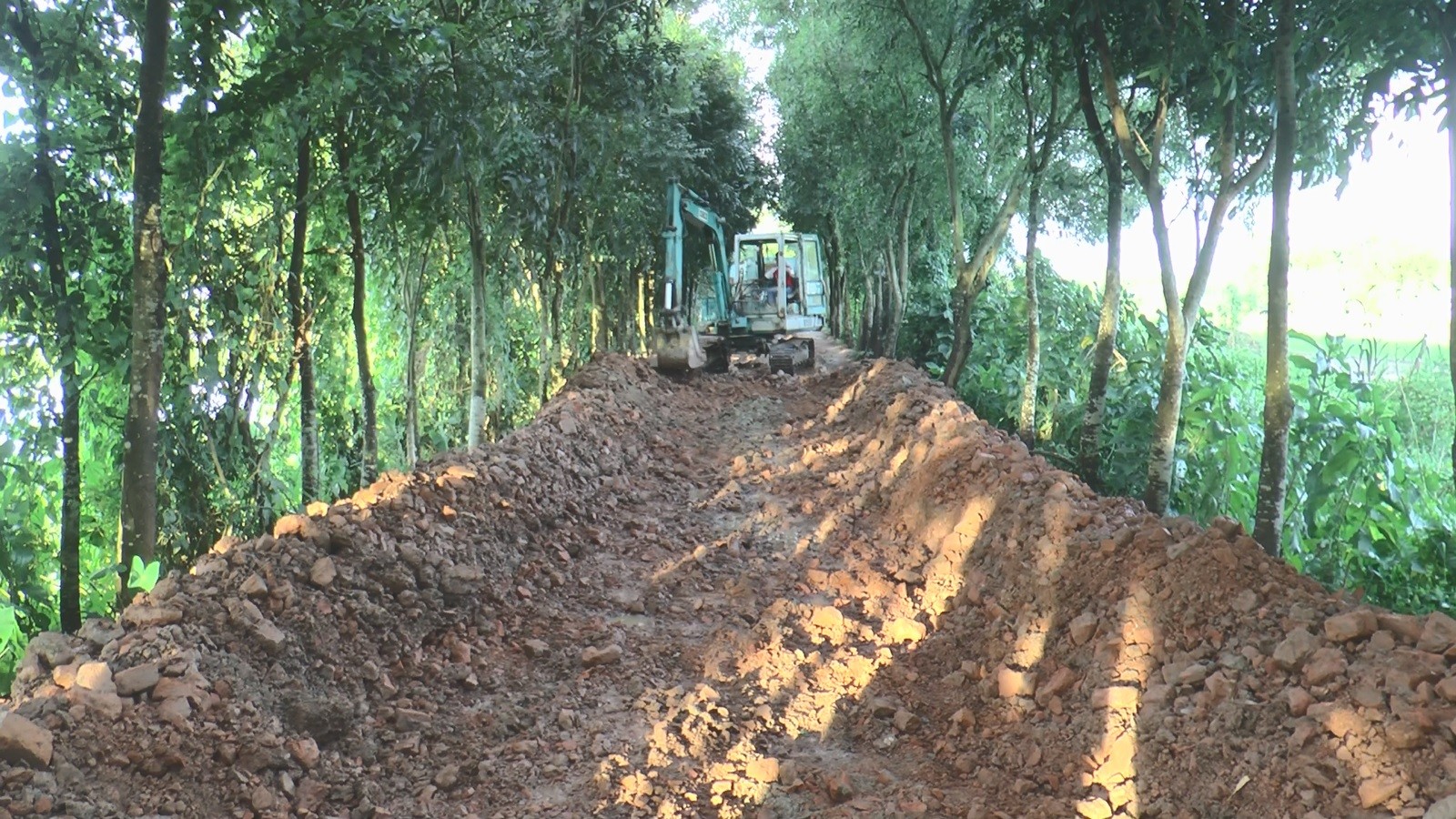 thumbnail_Madaripur_19-08-25_(Road_Human_Chain)_Pic_(4)