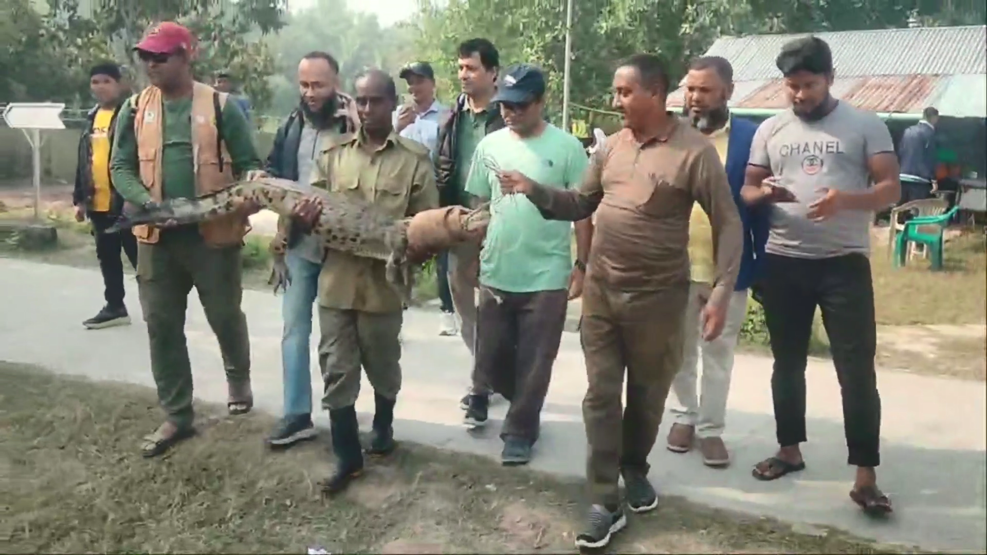 সুন্দরবনের পাঁচ কুমিরের অজানা জীবন কাহিনী থেমে গেল মাঝপথে