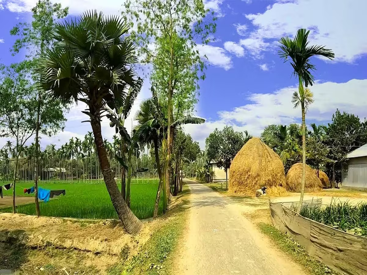 village_pic village_pic