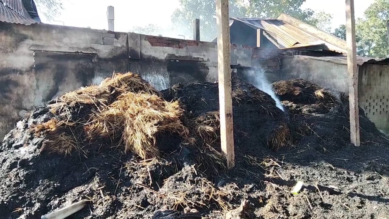 1000170872 1000170872