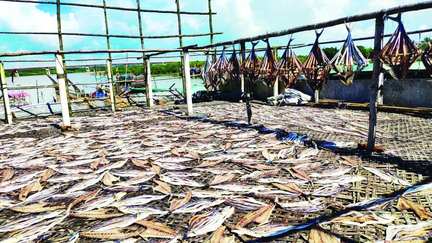 কক্সবাজারে শুঁটকি রফতানিতে রেকর্ড, ৪০০ কোটি টাকা বাণিজ্যের সম্ভাবনা