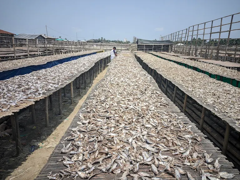 1000247888 1000247888