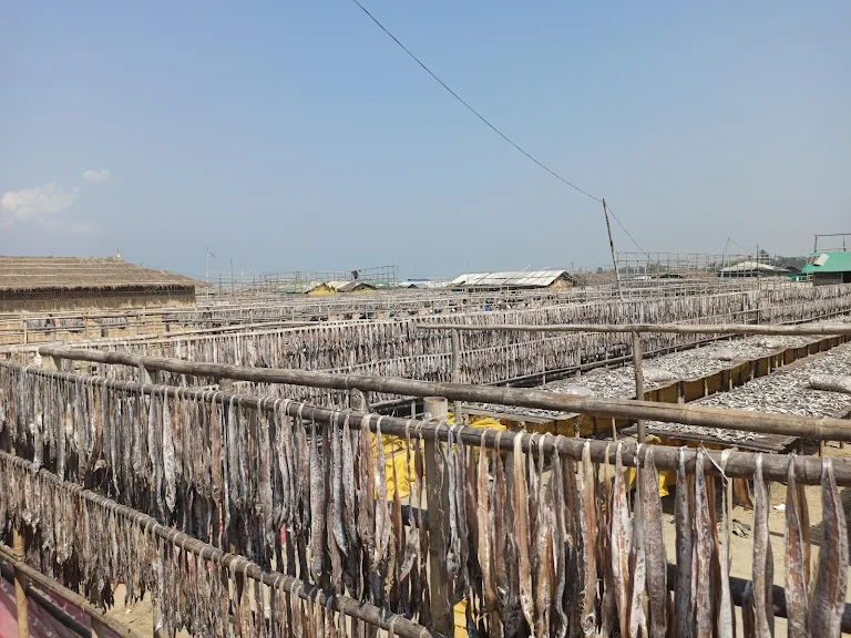 1000247889 1000247889