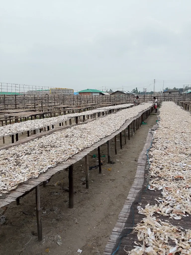 1000247890 1000247890